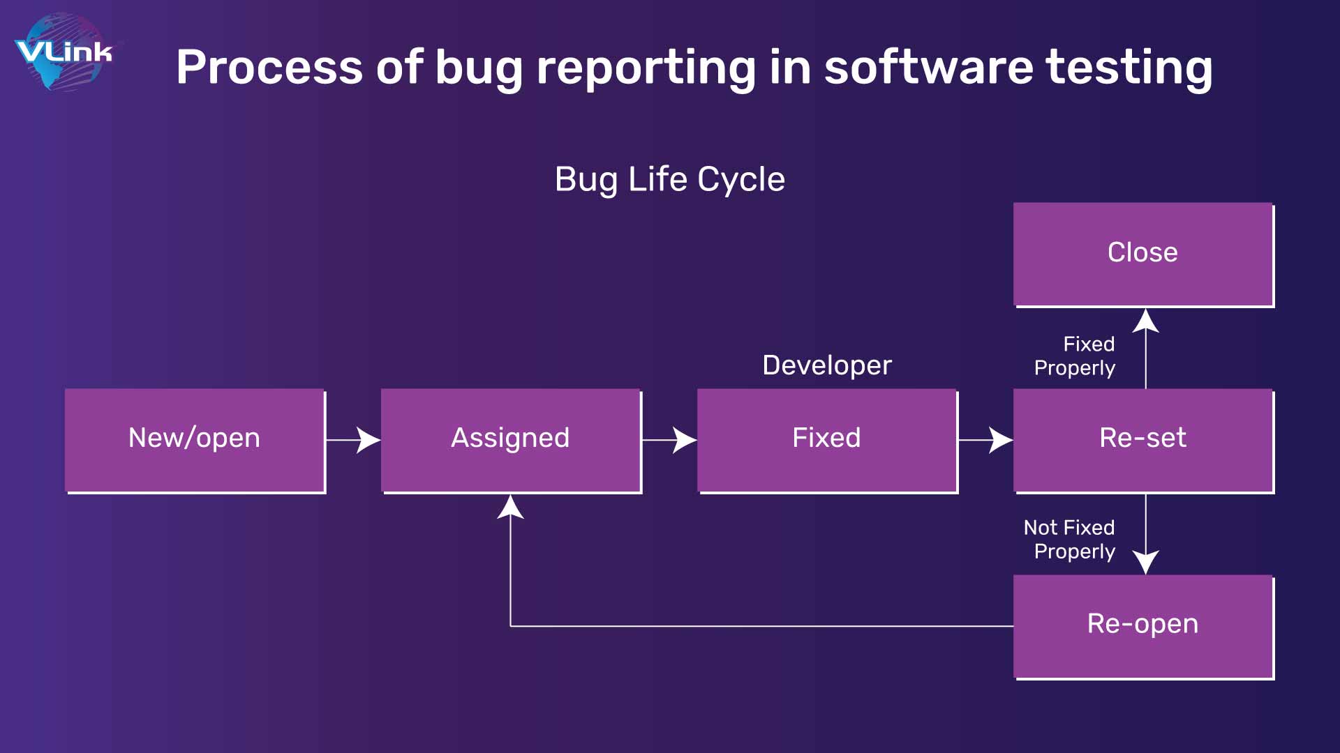 Process of bug reporting in software testing